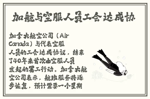 yy8098影视理论